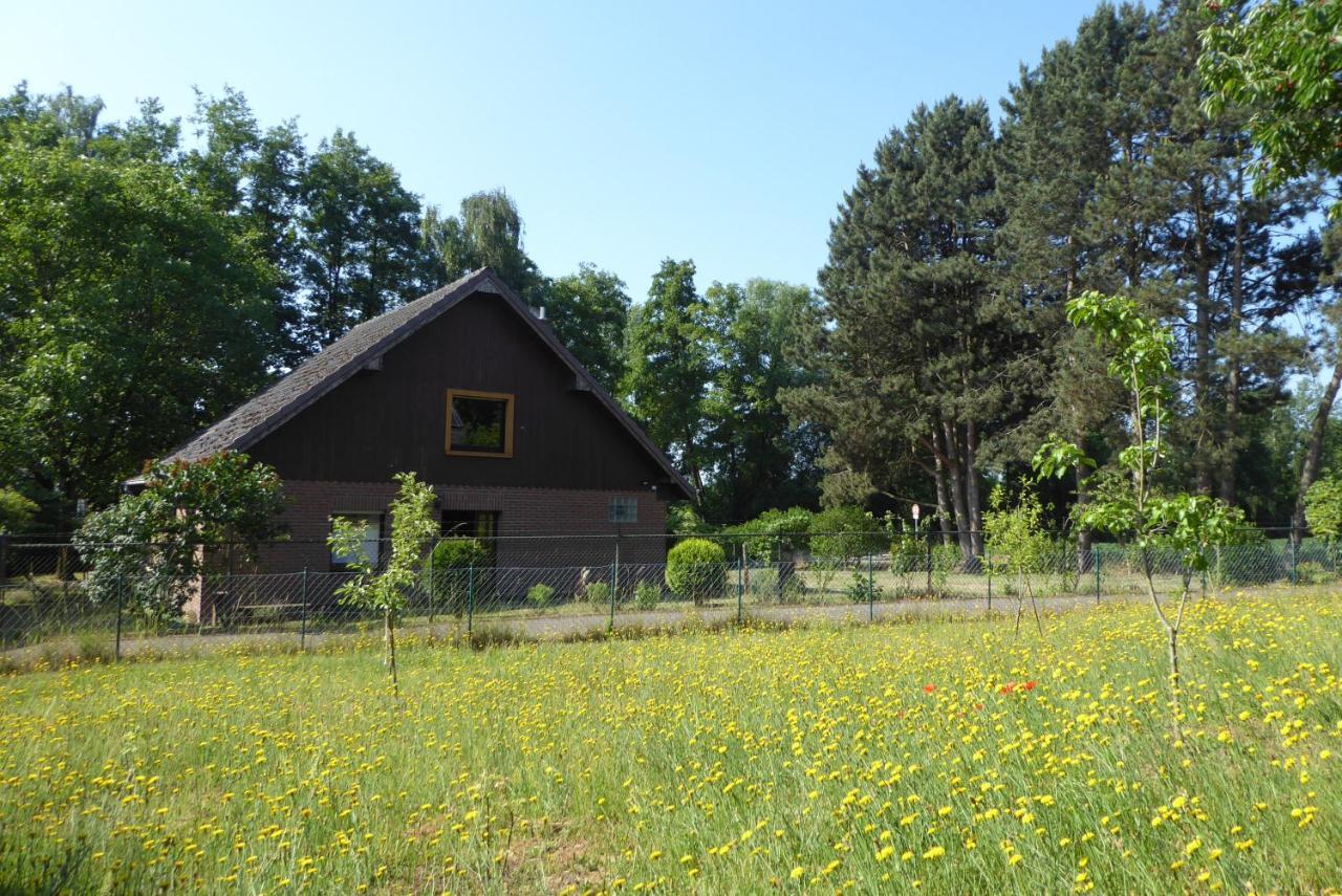 Ferienhaus An Der Borner Muehle Bruggen  Exterior photo
